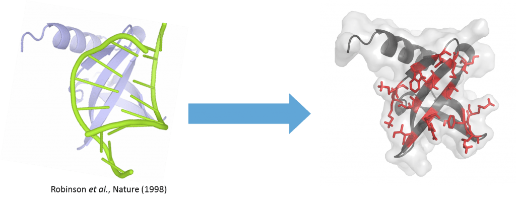 image33.png