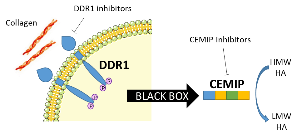 image34.png