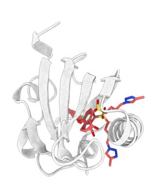 image47.png