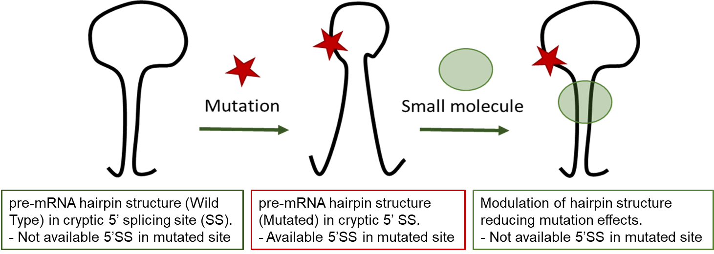 image46.png