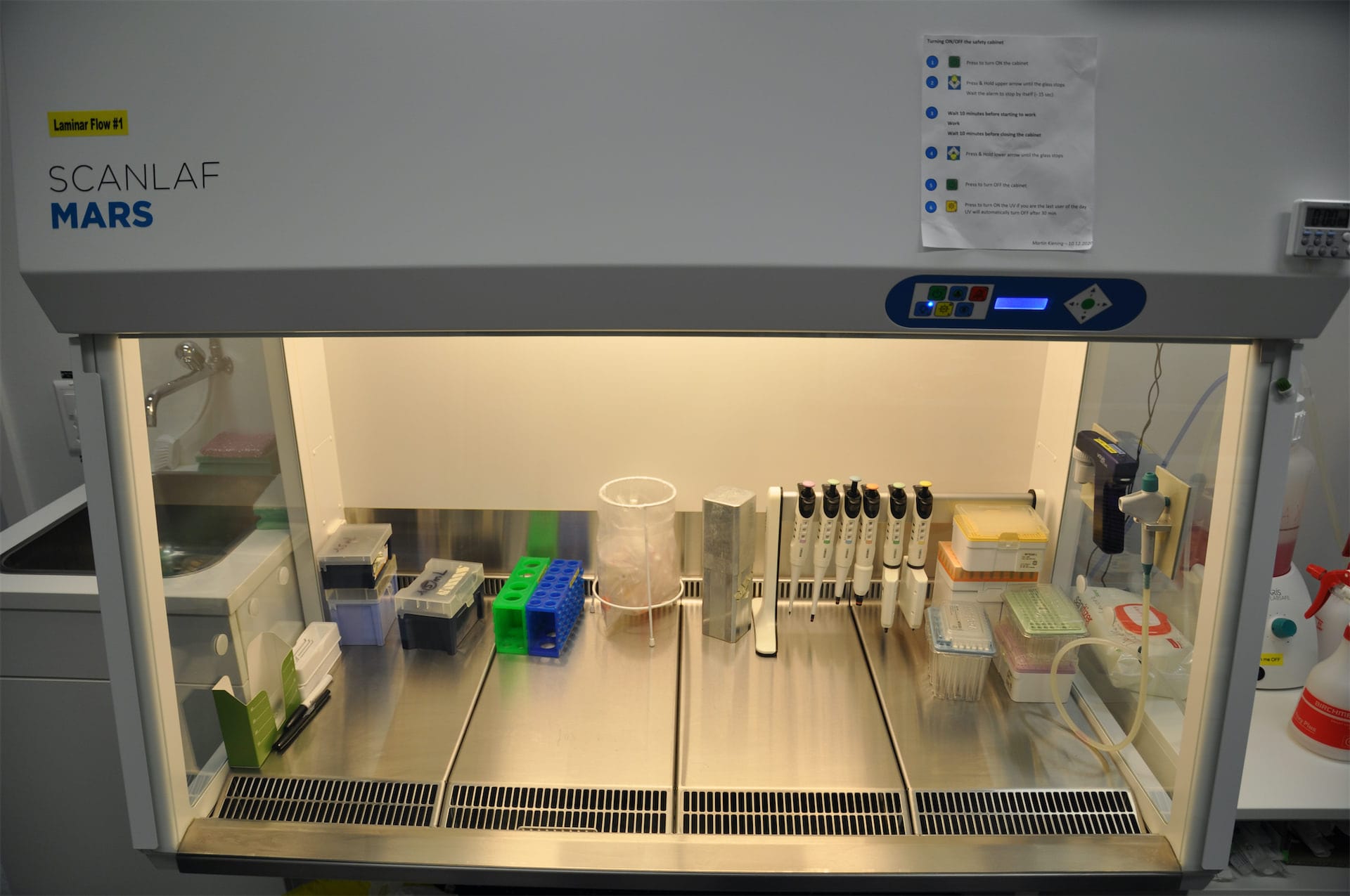 Class II and Cytotoxic Laminar Flows.jpeg