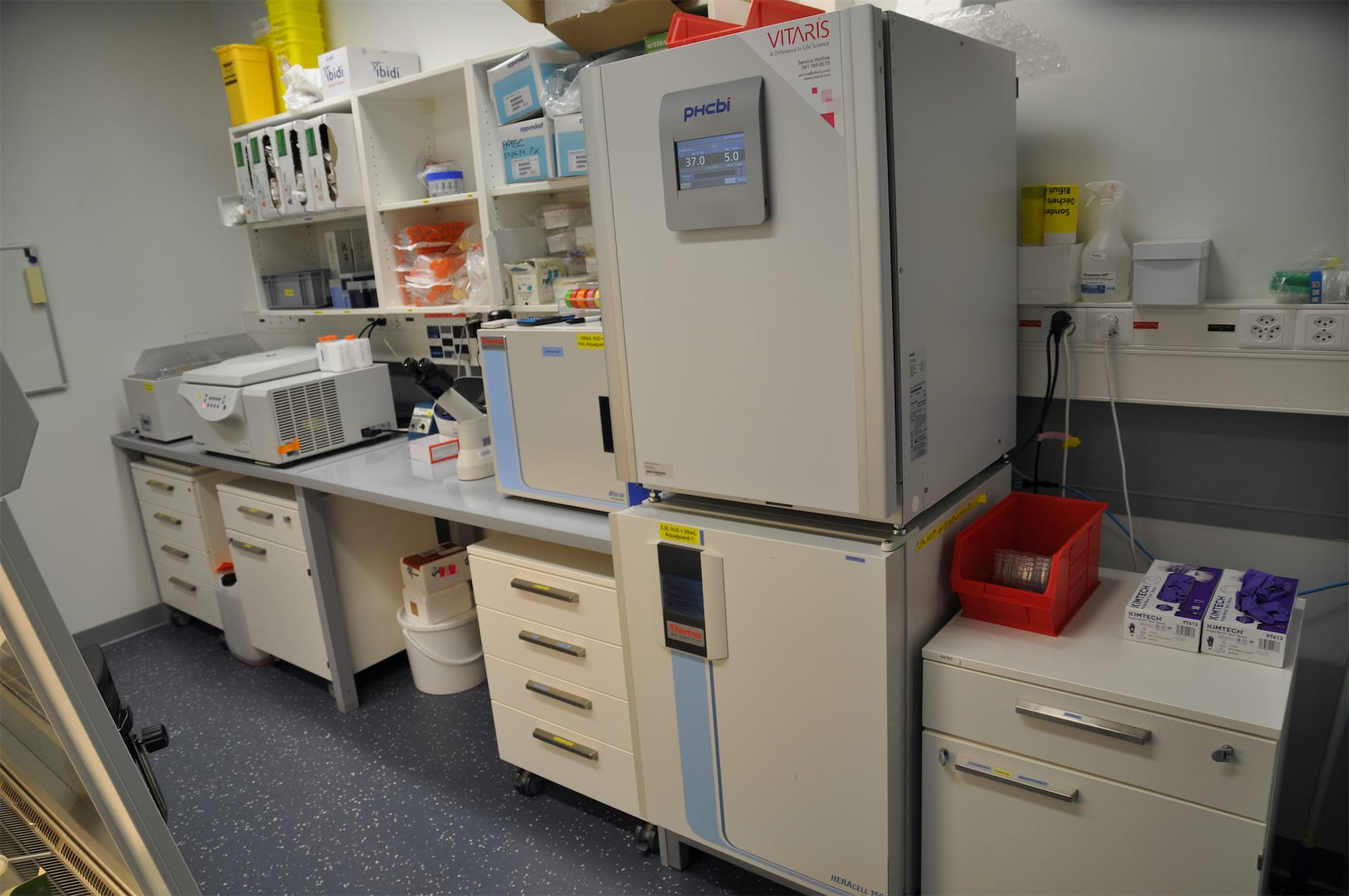 Cell Culture Facility.jpeg