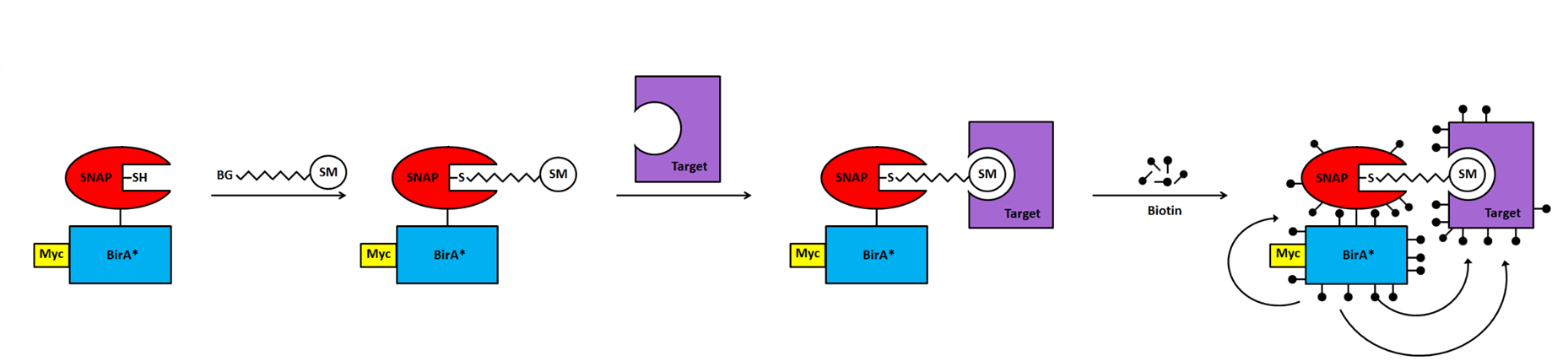 image35.png